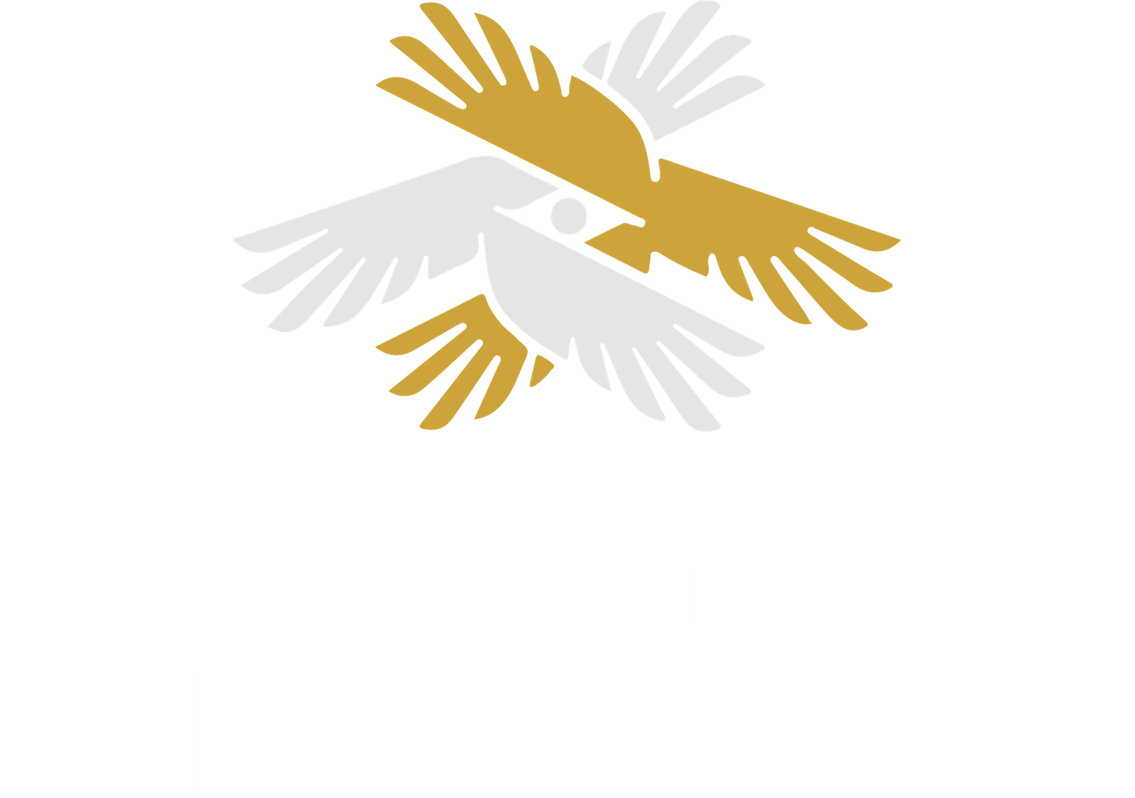grupo crissan